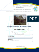 Chapana de Yuca