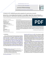 A Human SCFV Antibody Generation Pipeline For Proteome Research