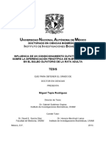 U N A M: Niversidad Acional Utónoma de Éxico Doctorado en Ciencias Biomédicas