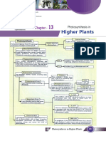 Photosynthesis in Higher Plants