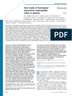 BK Polyomavirus Nephropathy Following Viral Replication in Plasma