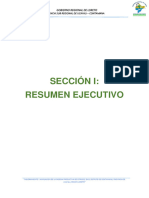 Resumen Ejecutivo Sección I