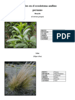 Especies en El Ecosistema Andino