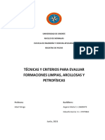 Técnicas y Criterios para Evular Formaciones Limpias, Arcillosas y Petrofísicas