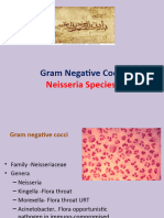 Gram Negative Cocci