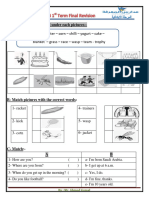 F&F 4 1st Term Final Revision