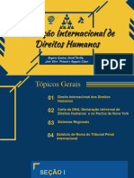 Slides Internacional Seminario