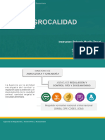 Principales Plagas Monitoreadas en Maíz y Acciones para La Fase de Respuesta