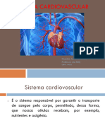 Sistema Cardiovascular