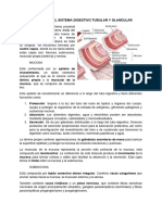 Clase 2 - Histología Del Sistema Digestivo Tubular y Glandular