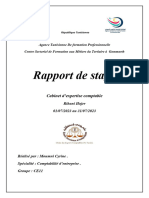 Rapport de Stage Cyrine Moumni