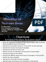 Nervous Tissue 4th Year 2020-2021 DR Mona1