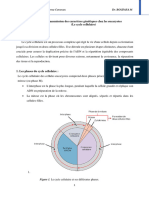 Chapitre II - Le Cycle Cellulaire