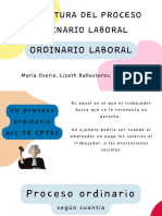 Esttructura Proceso Laboral Ordinario