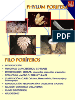 Poríferos