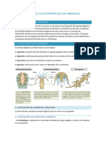 UNIDAD 6 La Nutrición en Los Animales