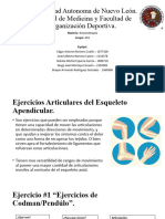 Ejercicios Articulares Apendiculares