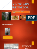 Proyecto Adn Emprendedor