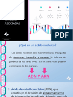 UT 5. Ácidos Nucleicos y Enzimas Asociadas