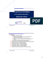 Curso TBE COPAO 2023 Sesion7 SPR Depresion