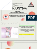 Conjuntiva 