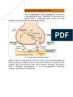 Parasympathetic Nervous System: Uptake of Choline