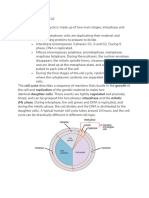 Cell Cycle