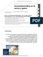 Uso de La Dexmedetomidina en La Clínica de Perros y Gatos