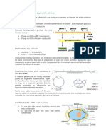 Resumen IBMC (Clase 12-13)