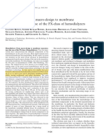 Hemodialyzer - From Macro-Design To Membrane Nanostructure The Case of The FX-class of Hemodialyzers