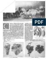 Larousse Agricole C2