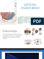 Sistema Endocrino