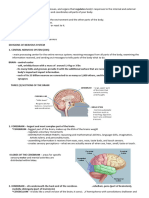 Nervous System Handouts