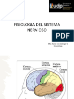 FISIOLOGIA SISTEMA NERVIOSOpptx