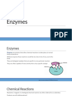 5.2 Enzymes