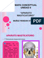 Aparato Masticatorio