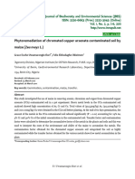 Phytoremediation of Chromated Copper Arsenate Contaminated Soil by Maize (Zea Mays L.)