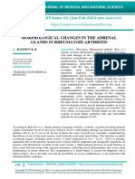 Morphological Changes in The Adrenal Glands in Rheumatoid Arthritis