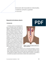 Capítulo 6. Desarrollo Del Mesodermo Intermedio