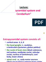 EPS and Cerebellum 20