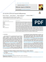 An Overview of The Non-Canonical Inflammasome 2020