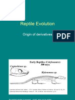 Reptile Evolution