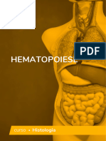 Hematopoiese