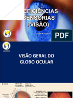 Deficiencias Visuais - Visão