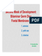 GA&E 14 - Bilaminar Germ Disc