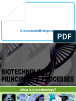 11 Biotechnology Principles N Processes - PPSX