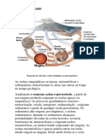 Apontamentos 2 - Recursos Do Subsolo 2024