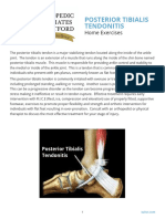 Posterior Tibialis Tendonitis Pain Exercises