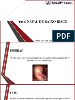 Pré-Natal de Baixo Risco