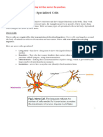 Read It! Specialised Cells